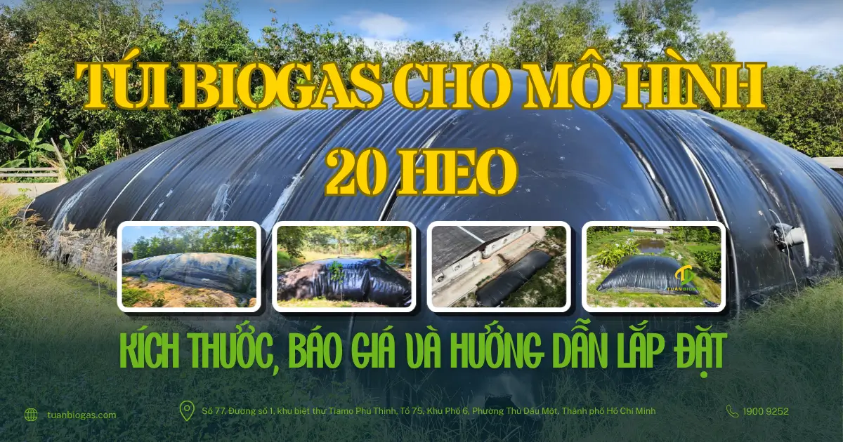 Giải Pháp Túi Biogas Cho Mô Hình Nuôi 20 Con Heo: Kích Thước, Báo Giá Và Hướng Dẫn Lắp Đặt Chi Tiết Từ Tuấn Biogas